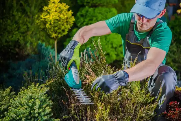 landscaping services East Islip